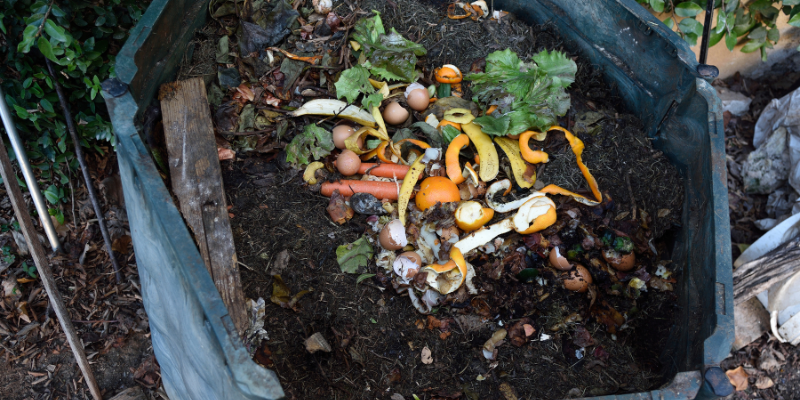 Everything you need to know to get started with home composting