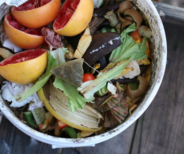 Winter Composting