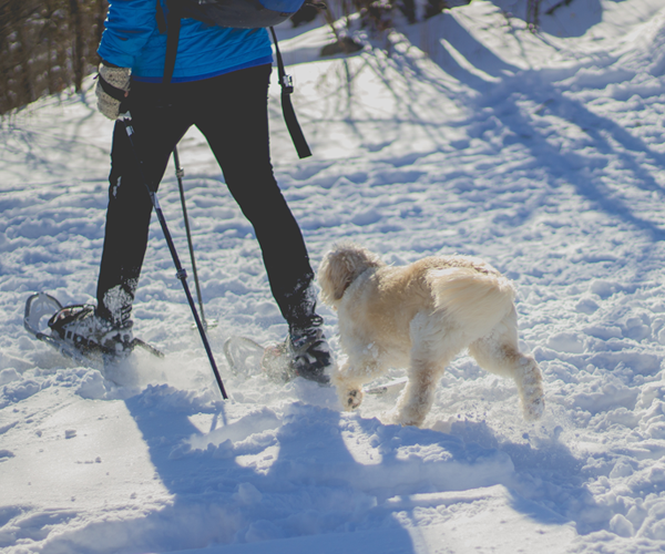 Winter Activities in Omaha