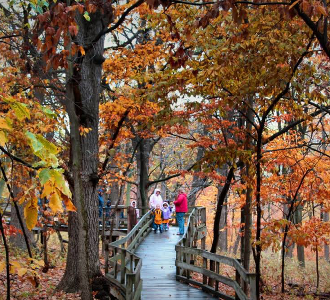 GET A BIRD'S EYE VIEW : Fontenelle Forest