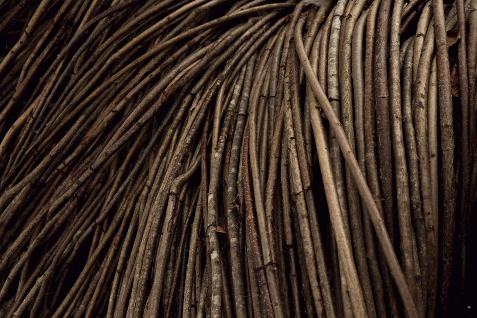 lorenzo-campregher-82koOUVK_ak-unsplash