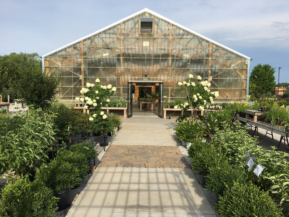 Nerbraska-Nursery-&-Color-Gardens