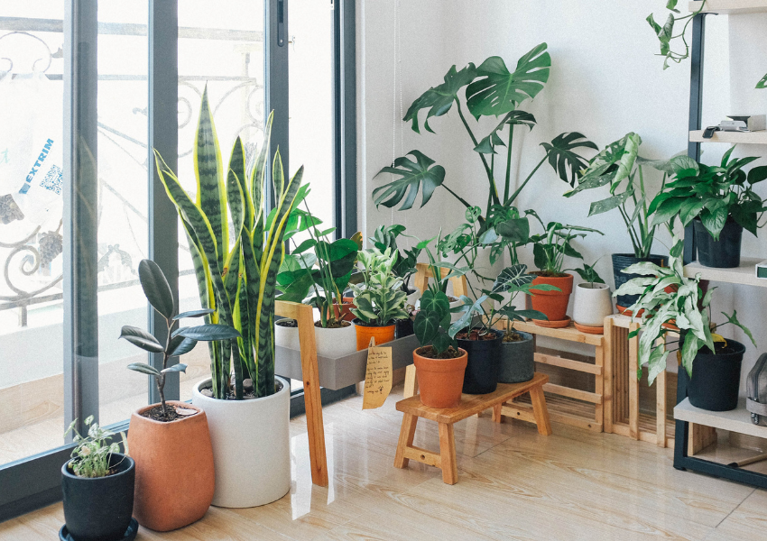Home Decor Styles in 2022