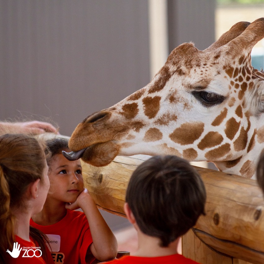 Lincoln Children's Zoo Lincoln, NE