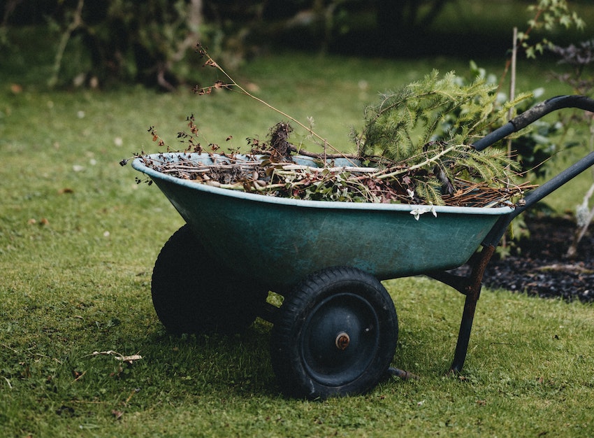 11 Steps to Prepare Your Garden for Spring