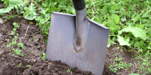11 Steps to Prepare Your Garden for Spring