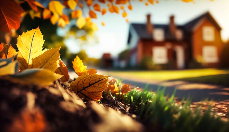 Preparing Your Home for Fall: Tips from Omaha Experts