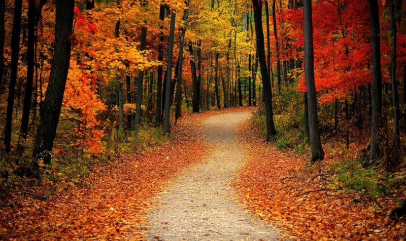 Fall Hiking Trails Near Omaha for Nature Lovers